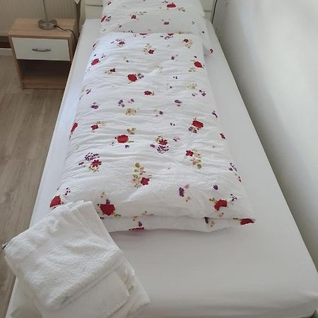 Privatzimmer An Der Universitaetsklinik Mainz. Sehr Zentral Buitenkant foto